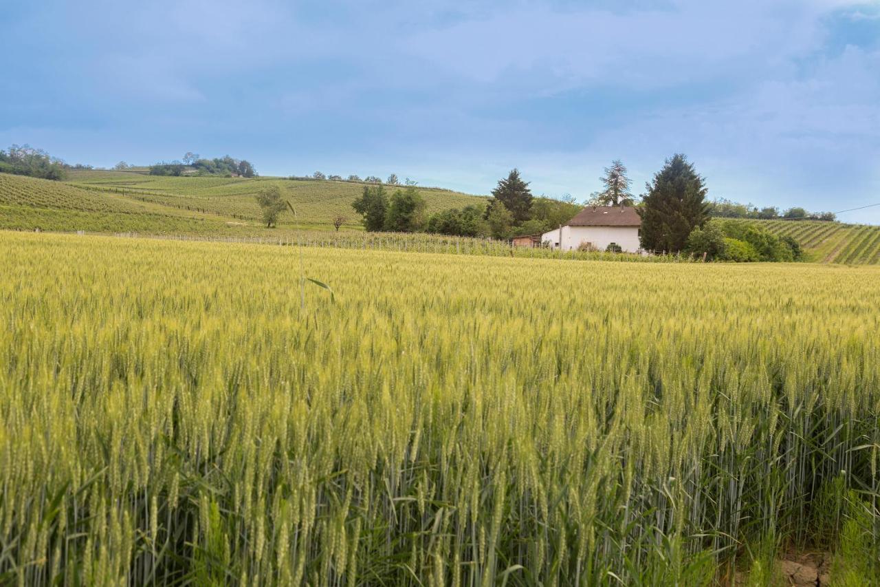 White Tail Organic Farm Villa Orsara Bormida Bagian luar foto