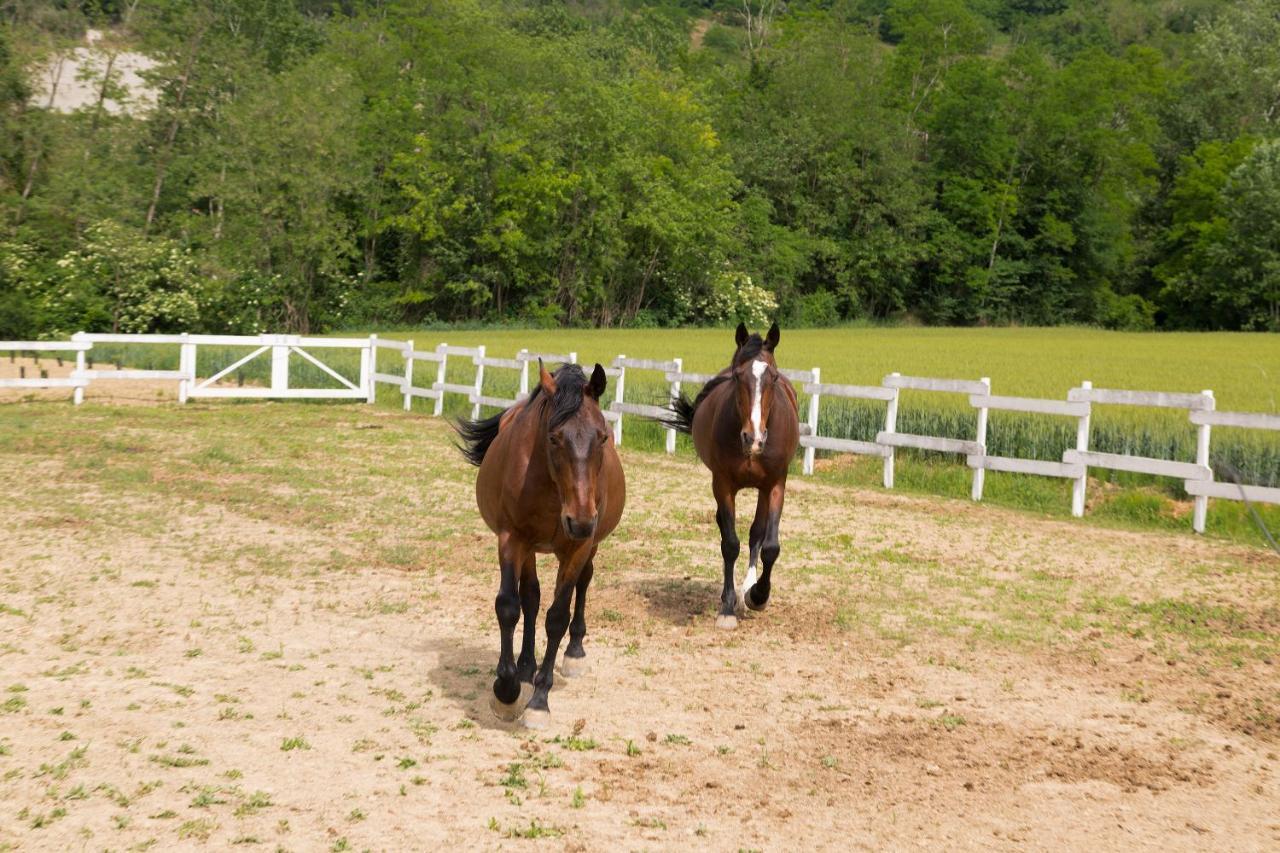 White Tail Organic Farm Villa Orsara Bormida Bagian luar foto